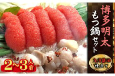 4A18 博多明太醤油もつ鍋セット(2～3人前)