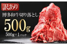 3G21-S1 訳あり！【数量限定】博多和牛切り落とし500ｇ