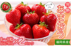 3Z1-S 暖家のいちご　ギフト用完熟あまおう（８粒～９粒）×2パック