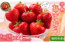 3Z2-S 暖家のいちご　ギフト用完熟あまおう（８粒～９粒）×4パック