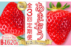 【 あまおう 定期便 全3回】福岡県産あまおう 約270g 前後 ×２パック いちご イチゴ あまおう 福岡限定 ブランド 果物 フルーツ ストロべリー スイーツ ケーキ パフェ スムージー ジャム 国産 福岡県 東峰村 お取り寄せ 送料無料 3S20