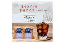 コーヒー 自家焙煎 豆屋の本格 水出し アイスコーヒー (40g×10)×2パック 計800g 珈琲