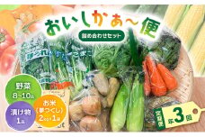 定期便 3ヶ月 おいしかぁ～便 詰め合わせ セット 年3回