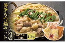 博多 もつ鍋 セット 2～3人前 みそ味 牛白モツ(国産) 300g