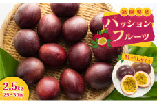 福岡県産 パッションフルーツ 2.5kg (M～3Lサイズ 25～35個) 果物 フルーツ ※配送不可:離島