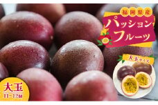 福岡県産 パッションフルーツ 大玉 11～12個 果物 フルーツ ※配送不可:離島