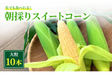 朝採り スイートコーン (10本入) とうもろこし ※離島配送不可