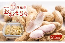 落花生 福岡県産 生落花生 おおまさり 2.5kg ※配送不可:離島