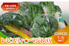 野菜 セット レピスリィ★ベジBOX 季節のお野菜 1～6種類 詰め合わせ ※配送不可：北海道、沖縄、離島