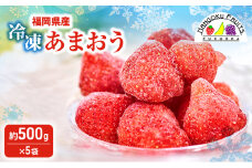 いちご 福岡産 冷凍あまおう 約500g×5袋 冷凍 苺 イチゴ あまおう フルーツ 果物 ※配送不可:離島