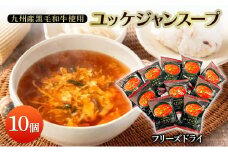 スープ ユッケジャンスープ×10個