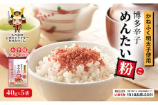 かねふく明太子使用 博多辛子めんたい粉（こ）40g×5袋 井口食品 いのくち 常温 ふりかけ 辛子明太子 明太子 めんたいこ 粉 ご飯のお供 調味料 袋 小分け 博多 九州 福岡県 大刀洗町 送料無料
