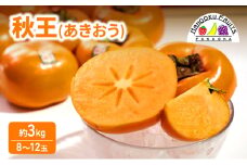 柿 福岡限定! ブランド柿「秋王(あきおう)」約3kg(8-12玉) かき フルーツ 果物 ※配送不可:離島