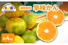 みかん 福岡ブランド みかん・早味かん 約4kg 柑橘 ミカン フルーツ 果物 ※配送不可:離島