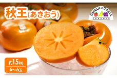 柿 福岡限定! ブランド柿「秋王(あきおう)」約1.5kg(4-6玉) かき フルーツ 果物 ※配送不可:離島