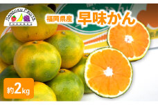 みかん 福岡ブランド みかん・早味かん 約2kg 柑橘 ミカン フルーツ 果物 ※配送不可:離島