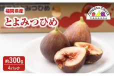 いちじく 福岡限定!ブランド いちじく「とよみつひめ」約300g×4パック 無花果 フルーツ 果物 ※配送不可:離島