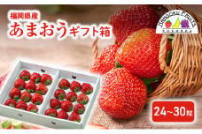 いちご 福岡産 あまおう ギフト箱（24-30粒） 苺 イチゴ ギフト フルーツ 果物 ※配送不可:離島