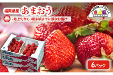【春】福岡産あまおう6パック いちご  苺 イチゴ フルーツ 果物 ※配送不可:離島