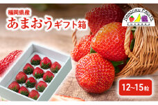 いちご 福岡産 あまおう ギフト箱（12-15粒） 苺 イチゴ ギフト フルーツ 果物 ※配送不可:離島