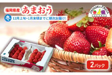【冬】福岡産あまおう2パック いちご  苺 イチゴ フルーツ 果物 ※配送不可:離島