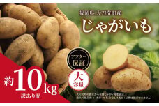 訳あり 大容量 福岡県 大刀洗町産 じゃがいも 約10kg 野菜 ジャガイモ