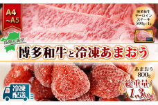 訳アリ 規格外 博多和牛 サーロインステーキ 500g A4～A5＆冷凍あまおう 800g セット 計1.3kg 訳あり 配送不可：離島