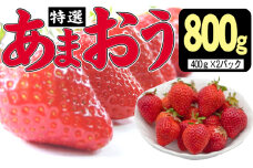 いちご 2025年12月より発送 特選あまおう 800g 果物 フルーツ デザート 食後 特別栽培 最高等級 大玉 贈答用 贈り物 福岡県産 国産 日本産 ※配送不可：離島