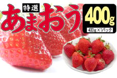 いちご 2025年12月より発送 特選あまおう 400g ※配送不可：離島