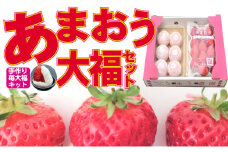 いちご 2025年12月より発送 うるう農園のあまおう大福キット(あまおう1パック＋大福6個セット) 果物 和菓子 生菓子 苺大福 フルーツ 和スイーツ 特別栽培 福岡県産 おやつ ※配送不可：離島