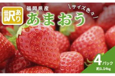 訳あり いちご 2026年3月中旬より発送 あまおう サイズ色々 4パック 約1.14kg 果物 フルーツ 福岡県産あまおう ※配送不可：離島