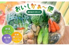 おいしかぁ～便 詰め合わせセット