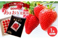 いちご 1月配送 しあわせもん あまおう 化粧箱 1箱 いちご職人 白木のいちご イチゴ 苺 果物 デザート ※配送不可：沖縄・離島