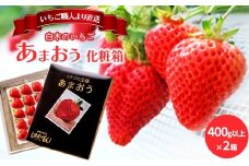 いちご 1月配送 しあわせもん あまおう 化粧箱 2箱 いちご職人 白木のいちご イチゴ 苺 果物 デザート ※配送不可：沖縄・離島
