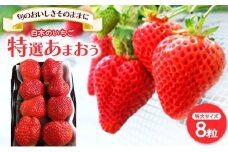 いちご いちご職人直送 白木のいちご 特選 あまおう (特大サイズ) 8粒 イチゴ 苺 果物 デザート ※配送不可：沖縄・離島