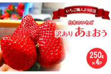 訳あり いちご いちご職人 白木のいちご あまおう ふぞろいな「いちご」たち 250g×4P 訳アリ イチゴ 苺 果物 デザート ※配送不可：沖縄・離島