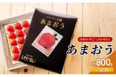 いちご 2月配送 しあわせもん あまおう 化粧箱 2箱 いちご職人 白木のいちご イチゴ 苺 果物 デザート ※配送不可：沖縄・離島