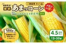 【来年度受付予約：2026年6月より発送】とうもろこし 農家直送！SDGs米糠堆肥で作った環境に優しいメロンより甘い 博多あまっコーン ご家庭用 カット品 4.5キロ以上 (12～20本) /酒見農産/トウモロコシ ※配送不可：離島
