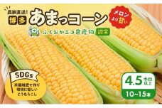 【来年度受付予約：2026年6月より発送】とうもろこし 農家直送！SDGs米糠堆肥で作った環境に優しいメロンより甘い 博多あまっコーン 4.5キロ以上 (10～15本) /酒見農産/トウモロコシ ※配送不可：離島