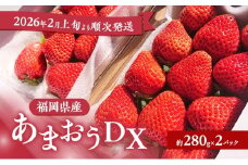 あまおう 【2026年2月上旬より順次発送】あまおうDX 約280g×2パック イチゴ 苺 いちご 果物 福岡県産 ※配送不可:離島