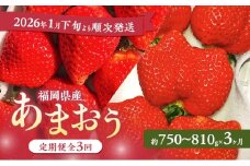 あまおう 定期便 3回 【2026年1月下旬より順次発送】【3ヶ月定期便】あまおう 3パック×3回 イチゴ 苺 いちご 果物 福岡県産 ※配送不可:離島