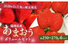 あまおう 【2026年2月上旬より順次発送】 あまおうボリュームセット 6パック イチゴ 苺 いちご 果物 福岡県産 ※配送不可:離島