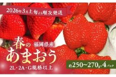 あまおう 【2026年3月上旬より順次発送】春のあまおう(2L・2A・G規格以上 4パック) イチゴ 苺 いちご 果物 福岡県産 ※配送不可:離島