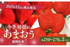 あまおう 【2025年12月より順次発送】 今季初採れあまおう 2パック【数量限定】イチゴ 苺 いちご 果物 福岡県産 限定 ※配送不可:離島