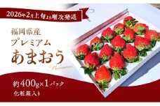 あまおう 【2026年2月上旬より順次発送】化粧箱入り プレミアムあまおう 約400g×1パック 【ギフト・お祝い・贈答用】 イチゴ 苺 いちご 果物 福岡県産 ※配送不可:離島
