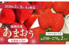 あまおう 定期便 3回 【定期便】あまおう2パック×3回（2月、3月、4月発送） イチゴ 苺 いちご 果物 福岡県産 ※配送不可:離島