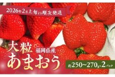 あまおう 【2026年2月上旬より順次発送】大粒あまおう 2パック イチゴ 苺 いちご 果物 福岡県産 ※配送不可:離島