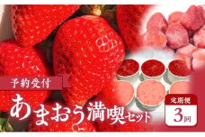 【2026年3月上旬より発送開始】【予約受付・3回定期便】あまおう満喫セット ※配送不可：北海道・沖縄県・離島