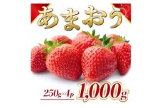 苺 福岡県産 あまおう 1000g（4パック） 先行予約 発送予定：2025年12月より順次発送 いちご イチゴ 果物 ※配送不可:離島