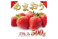 苺 福岡県産 あまおう 500g（2パック） 先行予約 発送予定：2026年2月より順次発送 いちご イチゴ 果物 ※配送不可:離島